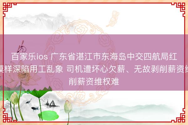 百家乐ios 广东省湛江市东海岛中交四航局红树林模样深陷用工乱象 司机遭坏心欠薪、无故剥削薪资维权难