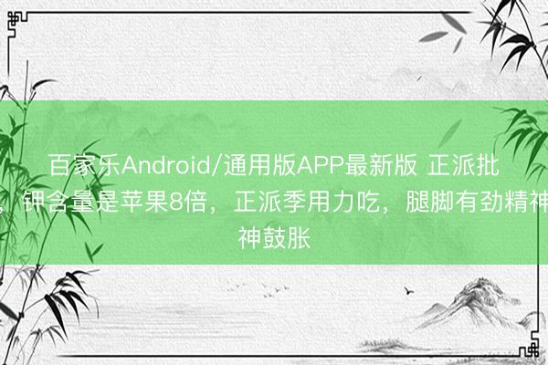 百家乐Android/通用版APP最新版 正派批上市，钾含量是苹果8倍，正派季用力吃，腿脚有劲精神鼓胀
