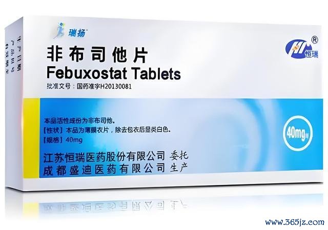 非布司他片
