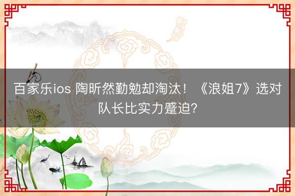 百家乐ios 陶昕然勤勉却淘汰！《浪姐7》选对队长比实力蹙迫？