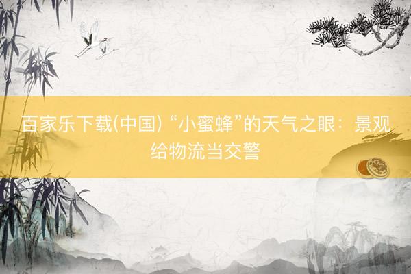 百家乐下载(中国) “小蜜蜂”的天气之眼:景观给物流当交警