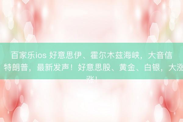 百家乐ios 好意思伊、霍尔木兹海峡，大音信！特朗普，最新发声！好意思股、黄金、白银，大涨！